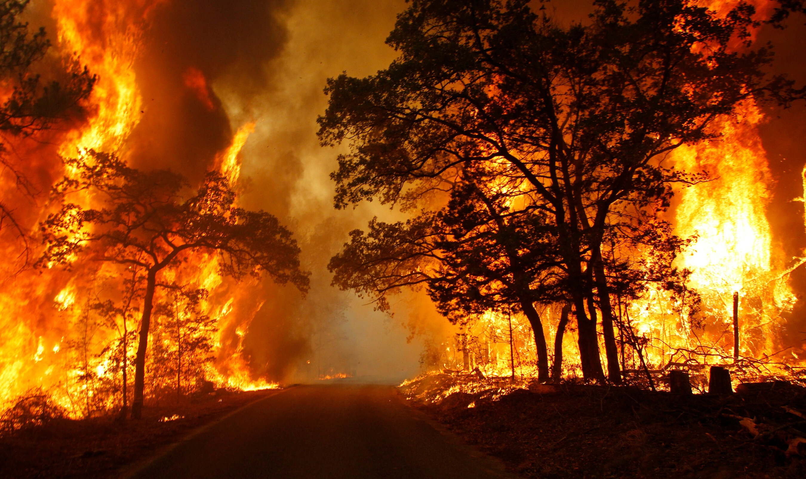 As the Insurance Industry Struggles with Accurately Assessing Climate Risk, MSI Uses Artificial Intelligence to Evolve and Adapt to the Growing Wildfire Risk (CNW Group/ZestyAI)