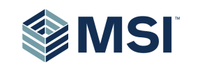 Msi Logo